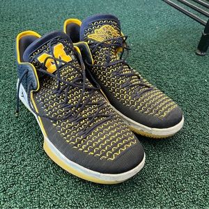 MENS SIZE 14! air Jordan Michigan blue and gold
